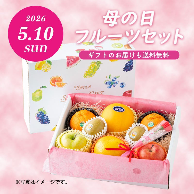 ≪２０２６年母の日限定ギフト≫ フルーツセット【送料無料】