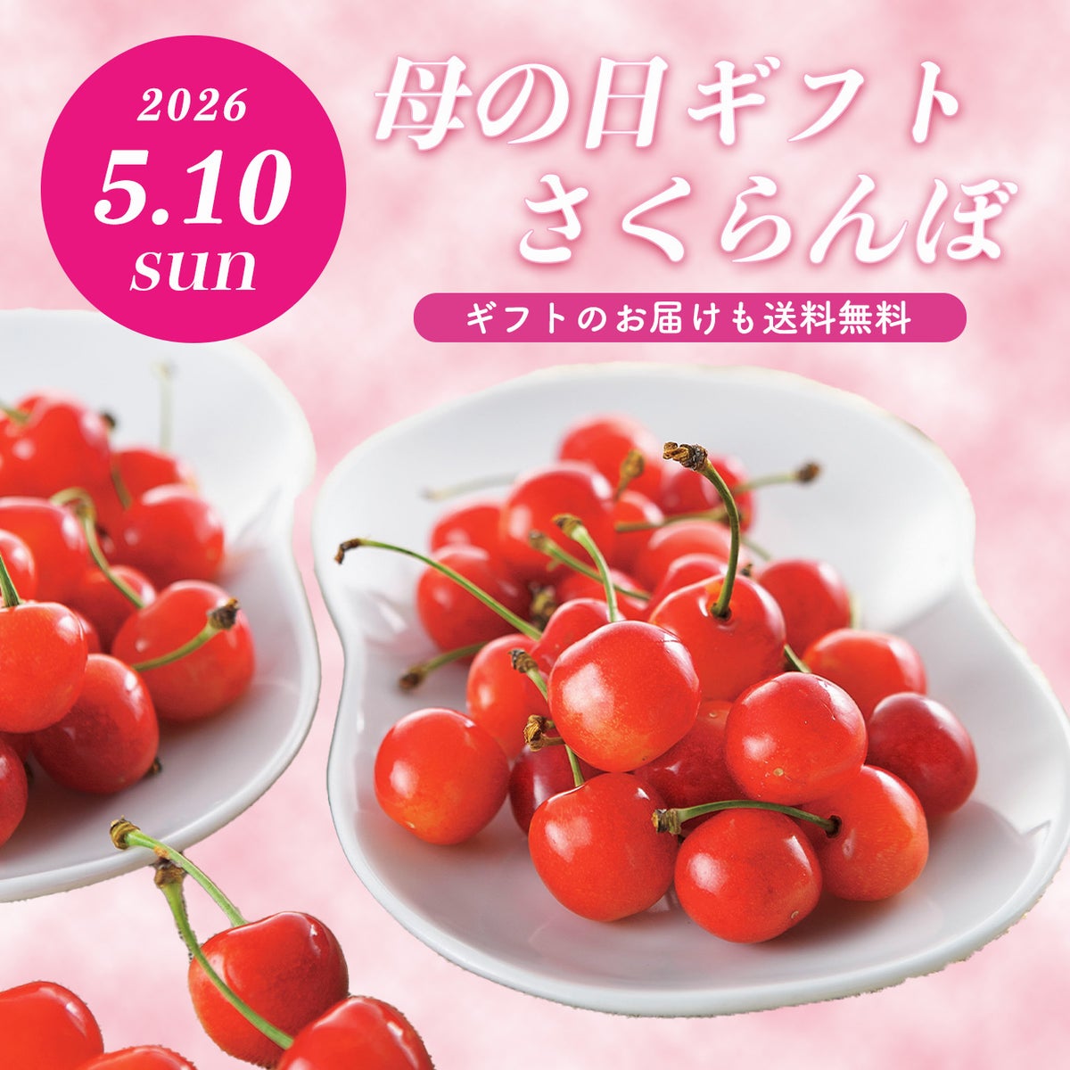 ≪２０２５年母の日限定ギフト≫ 山形県産直！完熟さくらんぼ「佐藤錦」ダイヤパック（100ｇ×２パック）【送料無料】