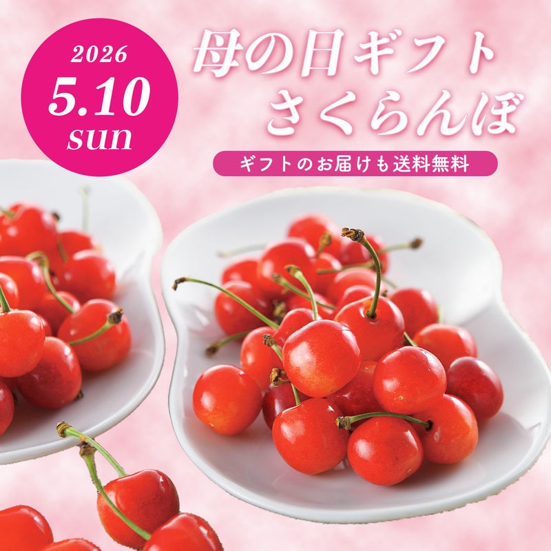 ≪２０２５年母の日限定ギフト≫ 山形県産直！完熟さくらんぼ「佐藤錦」ダイヤパック（100ｇ×２パック）【送料無料】