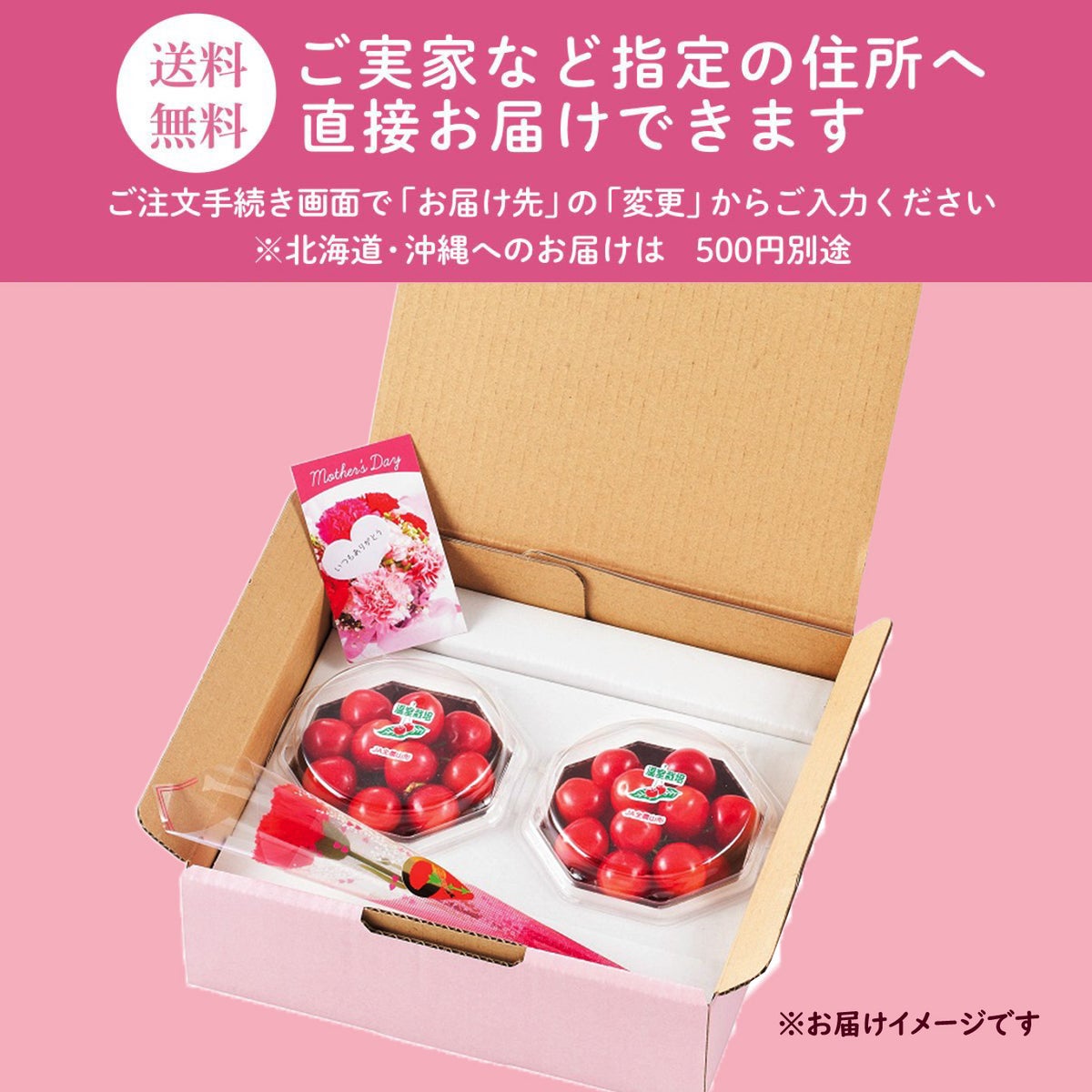 ≪２０２５年母の日限定ギフト≫ 山形県産直！完熟さくらんぼ「佐藤錦」ダイヤパック（100ｇ×２パック）【送料無料】