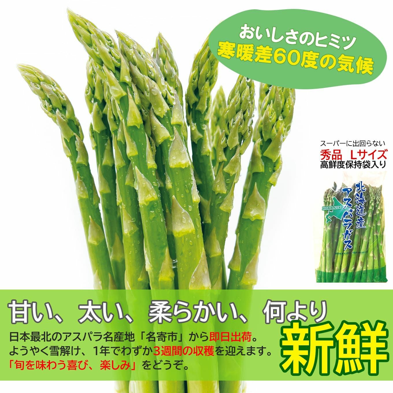北海道産直！朝もぎ なよろアスパラガス 1箱（700g/25～34本前後