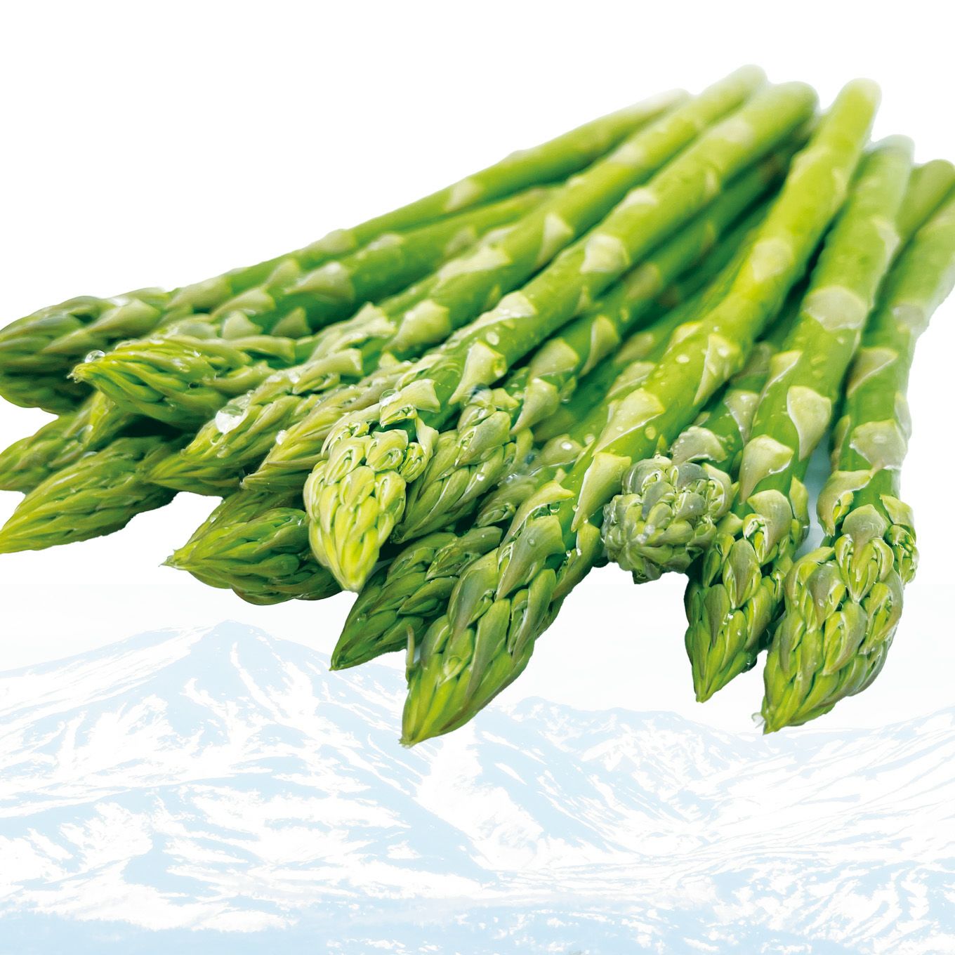 北海道産直！朝もぎ なよろアスパラガス 1箱（700g/25～34本前後