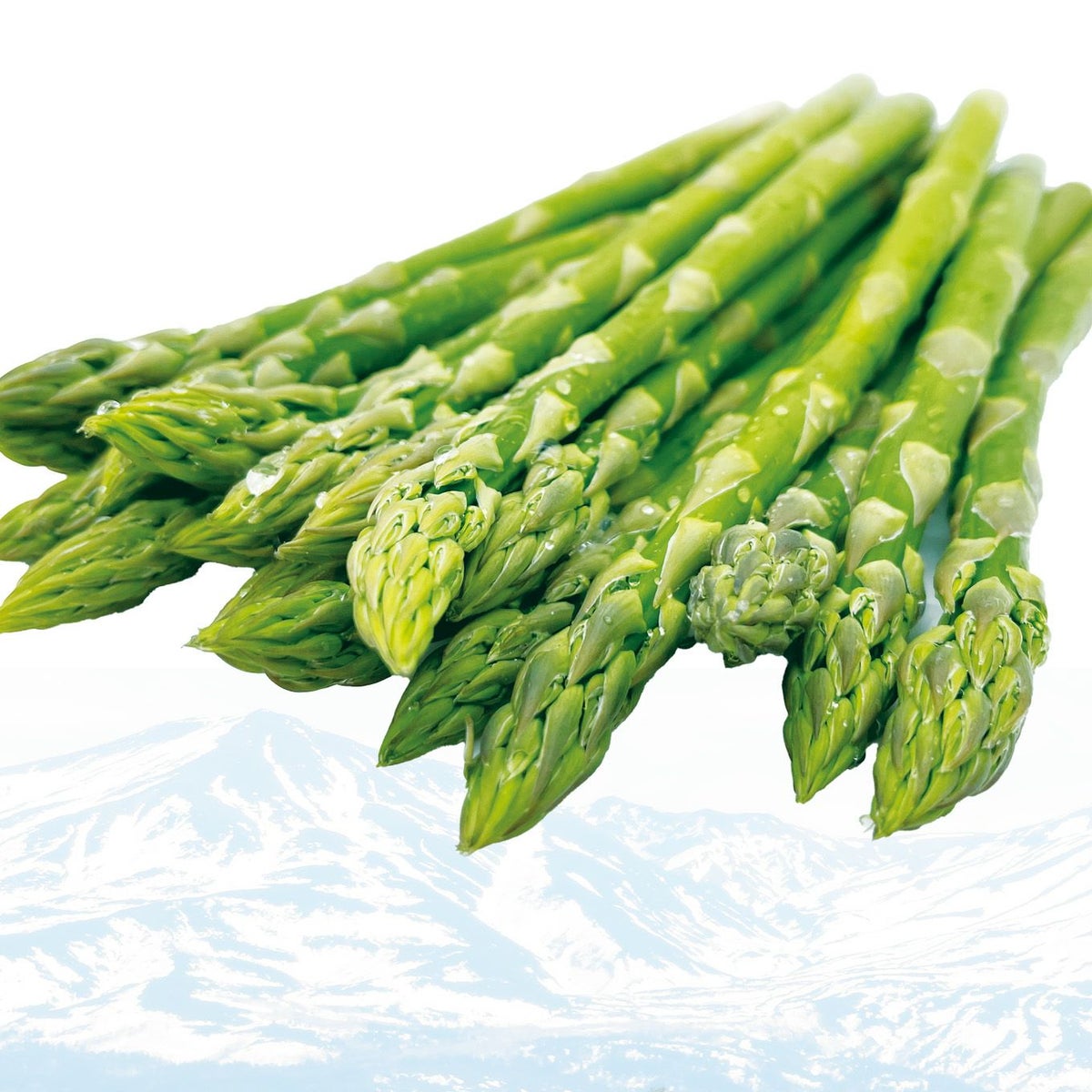  北海道産直！朝もぎ なよろアスパラガス　１箱（700g/25～34本前後）【送料無料】