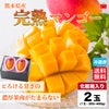 ≪化粧箱入≫熊本産 完熟マンゴー 2玉入り（1玉約350～400ｇ）【送料無料】
