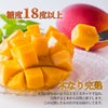 ≪化粧箱入≫熊本産 完熟マンゴー 2玉入り（1玉約350～400ｇ）【送料無料】