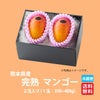 ≪化粧箱入≫熊本産 完熟マンゴー 2玉入り（1玉約350～400ｇ）【送料無料】