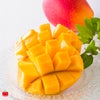 ≪化粧箱入≫熊本産 完熟マンゴー 2玉入り（1玉約350～400ｇ）【送料無料】