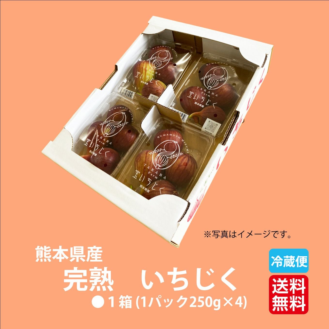 熊本県産直 完熟いちじく 4パック（1パック：250g／3～5玉入）【送料