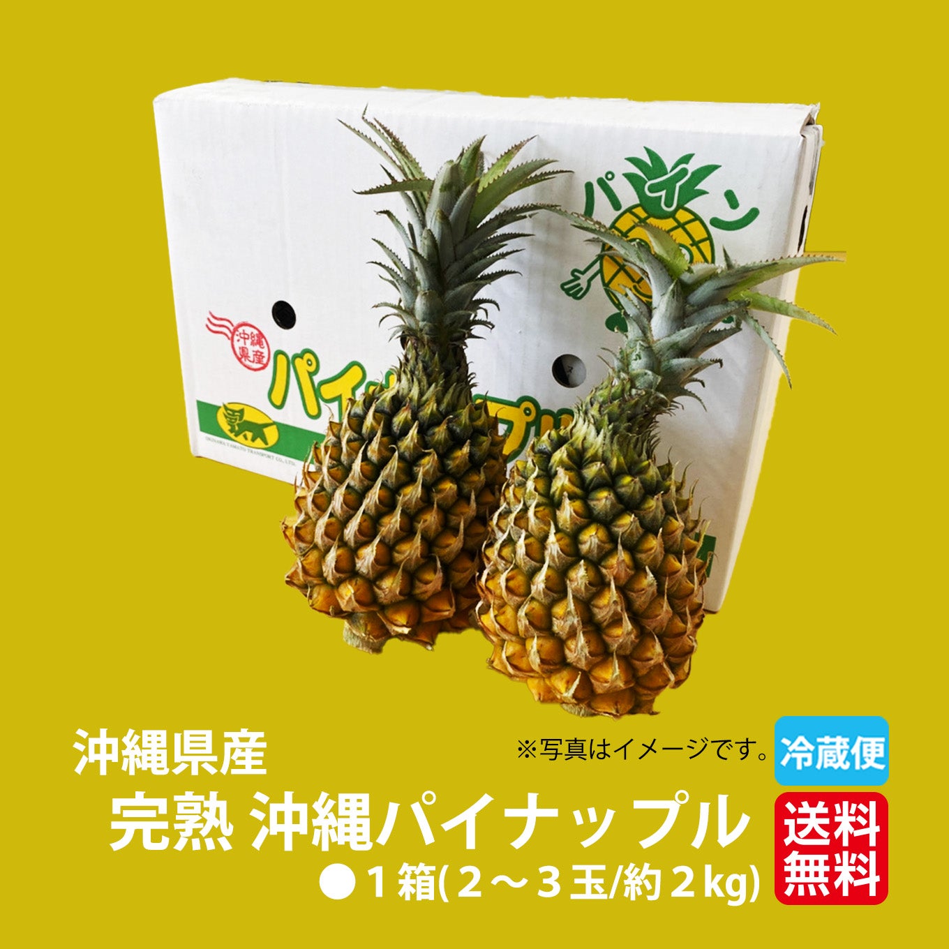沖縄産直！完熟沖縄パイナップル スナックパイン 1箱：2～3玉 約2