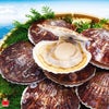 北海道産直！　オホーツク湧別産 夏の活ほたて　（約4㎏/1箱：20～28枚入り）【送料無料】≪産地直送のため他の商品と同梱できません≫
