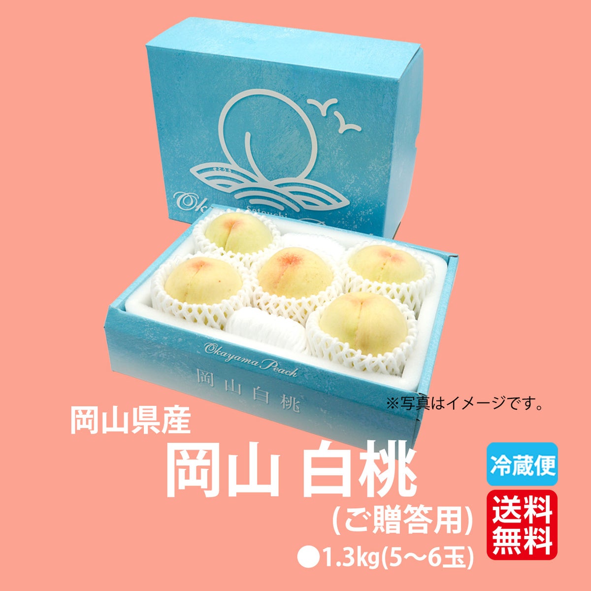 岡山県産　岡山白桃　約1.3kg（5～6玉入り）／ご贈答用【送料無料】