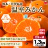 熊本・佐賀県産　温室みかん 1.3kg（12～25玉入り）【送料無料】