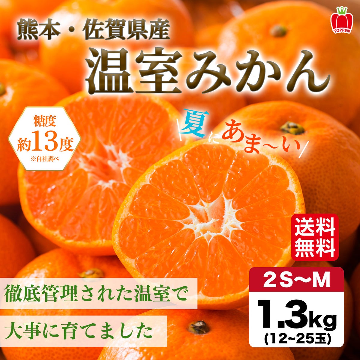 熊本・佐賀県産　温室みかん 1.3kg（12～25玉入り）【送料無料】
