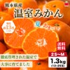 熊本県産　温室みかん 1.3kg（12～25玉入り）【送料無料】