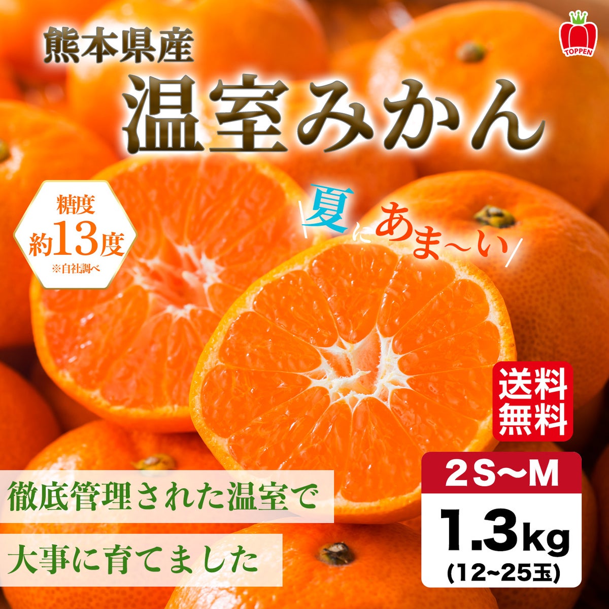 熊本県産　温室みかん 1.3kg（12～25玉入り）【送料無料】