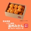 熊本県産　ハウス栽培　温州みかん 1.3kg（10～20玉入り）【送料無料】