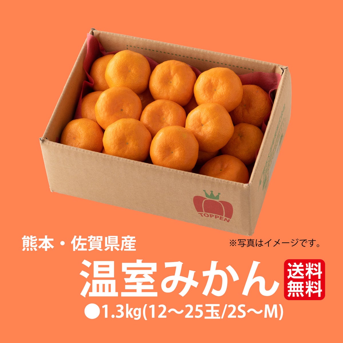 熊本・佐賀県産　温室みかん 1.3kg（12～25玉入り）【送料無料】