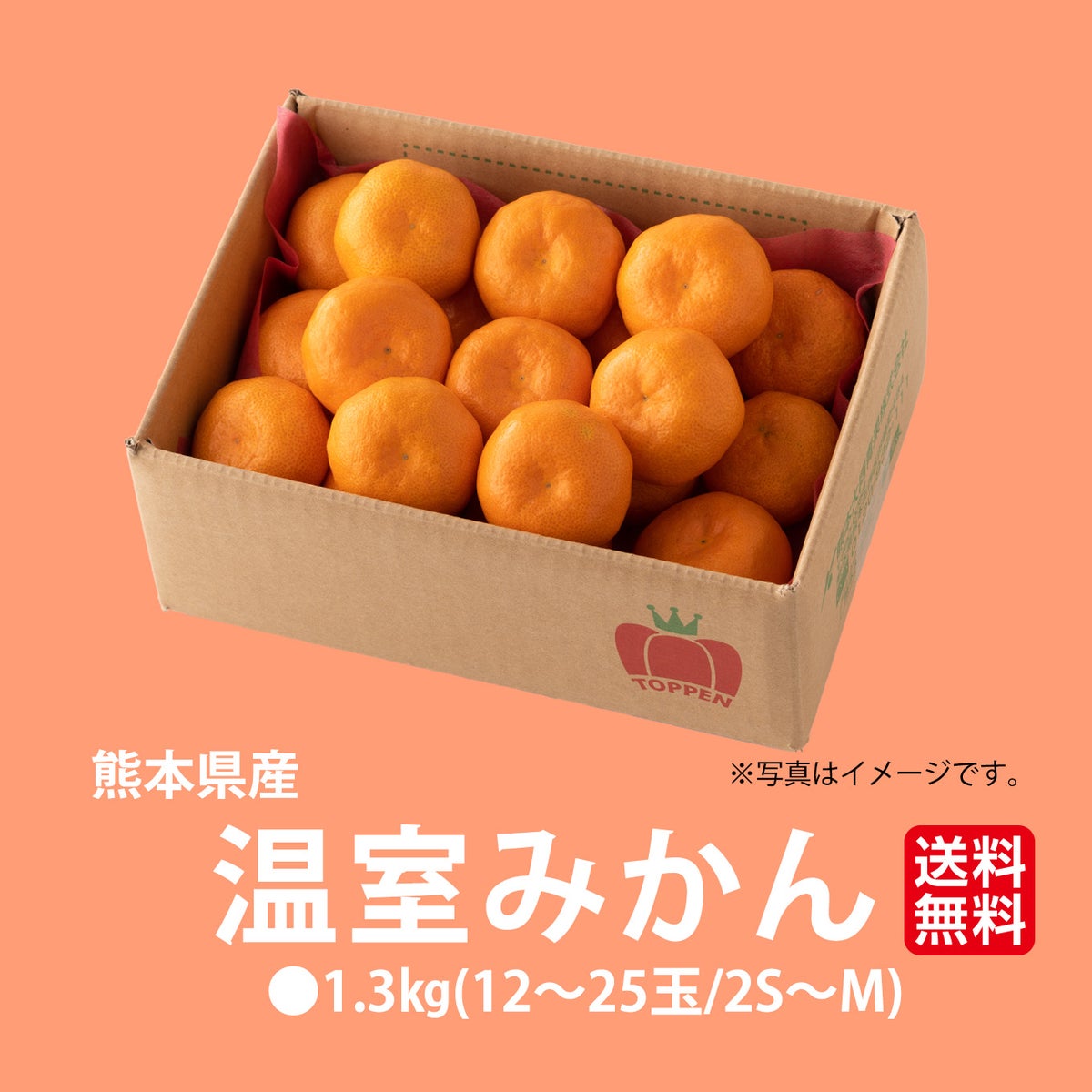 熊本県産　温室みかん 1.3kg（12～25玉入り）【送料無料】