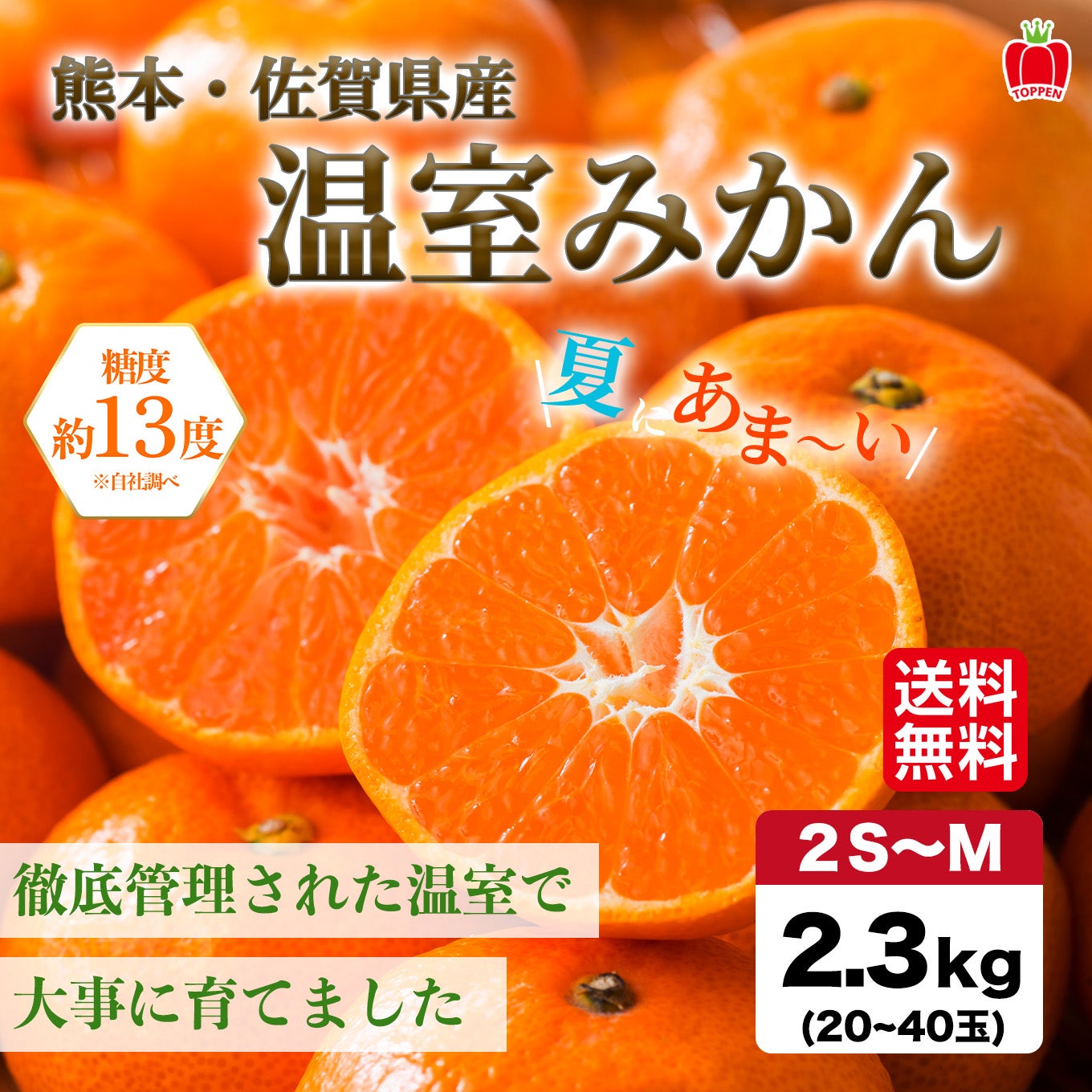 温室みかん - 果物・フルーツのお取り寄せ通販【とっぺん市場】