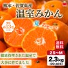 熊本県産　ハウス栽培　温州みかん 2.3kg（20～40玉入り）【送料無料】