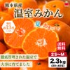 熊本県産　ハウス栽培　温州みかん 2.3kg（20～40玉入り）【送料無料】