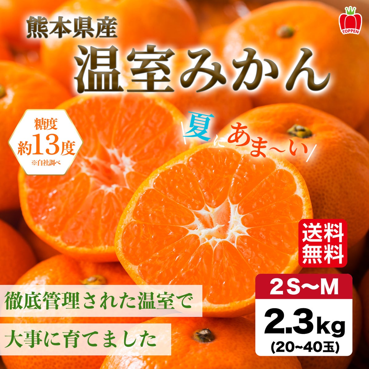 熊本県産　ハウス栽培　温州みかん 2.3kg（20～40玉入り）【送料無料】