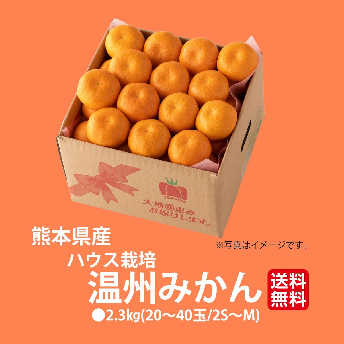 熊本県産　ハウス栽培　温州みかん 2.3kg（20～40玉入り）【送料無料】