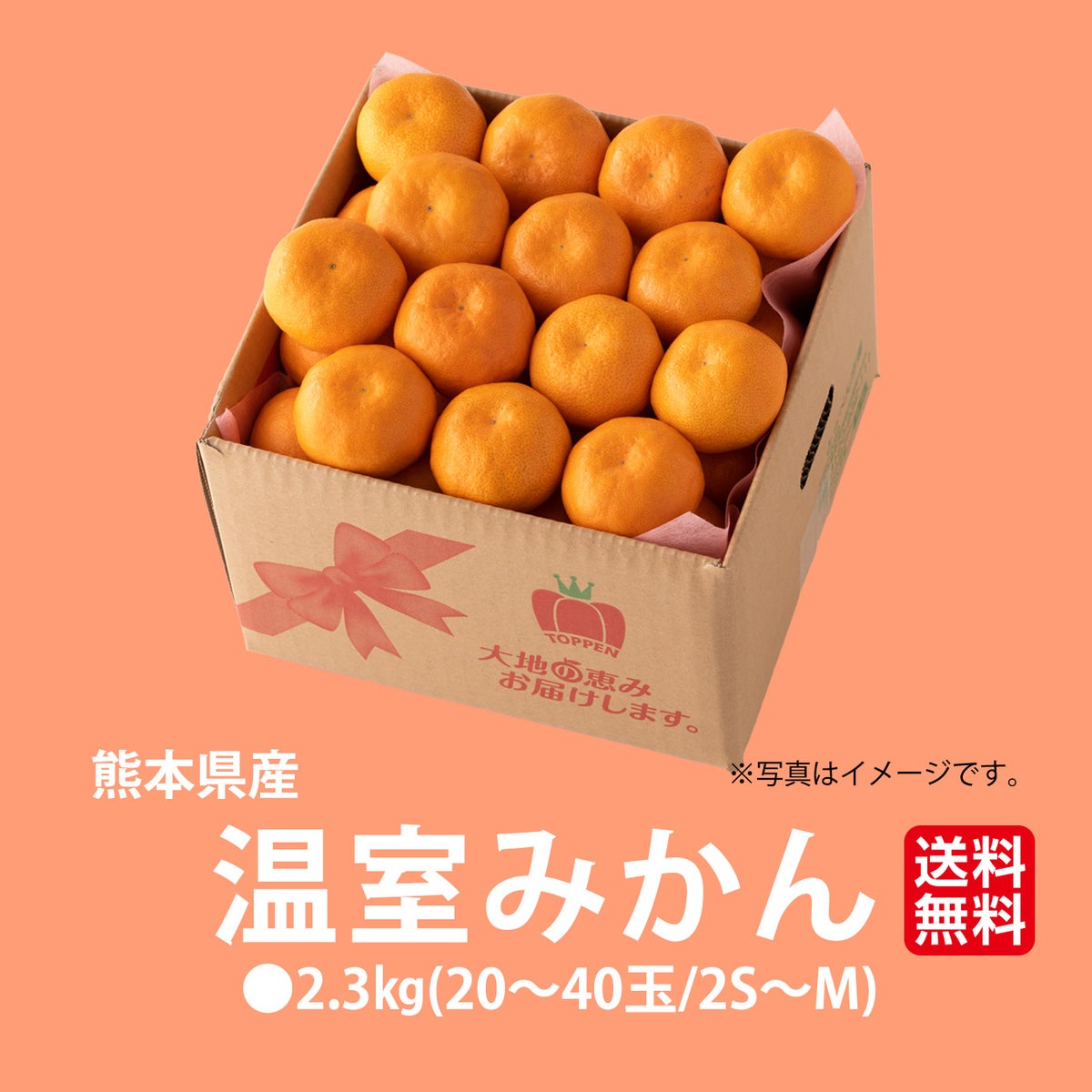 熊本県産　ハウス栽培　温州みかん 2.3kg（20～40玉入り）【送料無料】