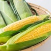 青森県産　朝どれ嶽きみ（とうもろこし）　５本　【送料無料】