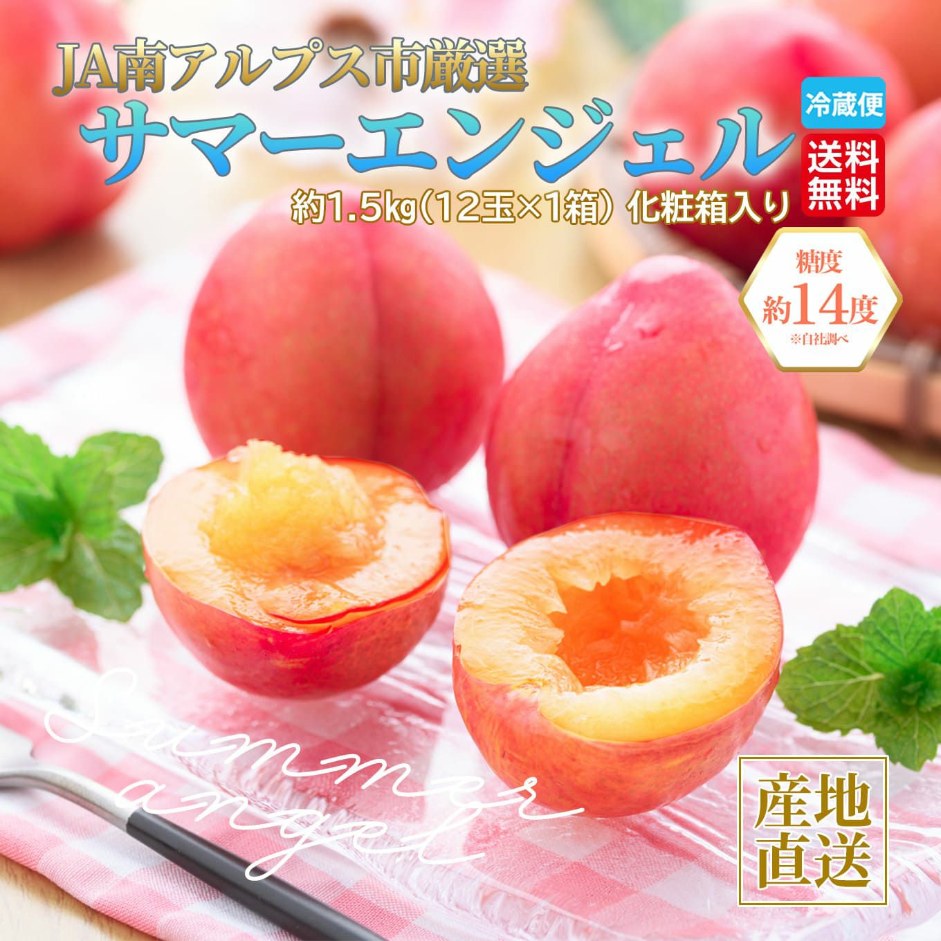 すももさま　専用 高糖度すもも サマーエンジェル 約1.5kg（12玉入）【送料無料