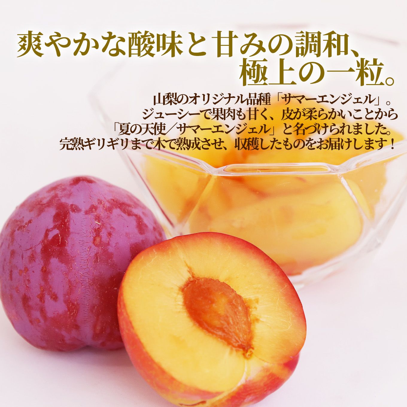 すももさま　専用 高糖度すもも サマーエンジェル 約1.5kg（12玉入）【送料無料