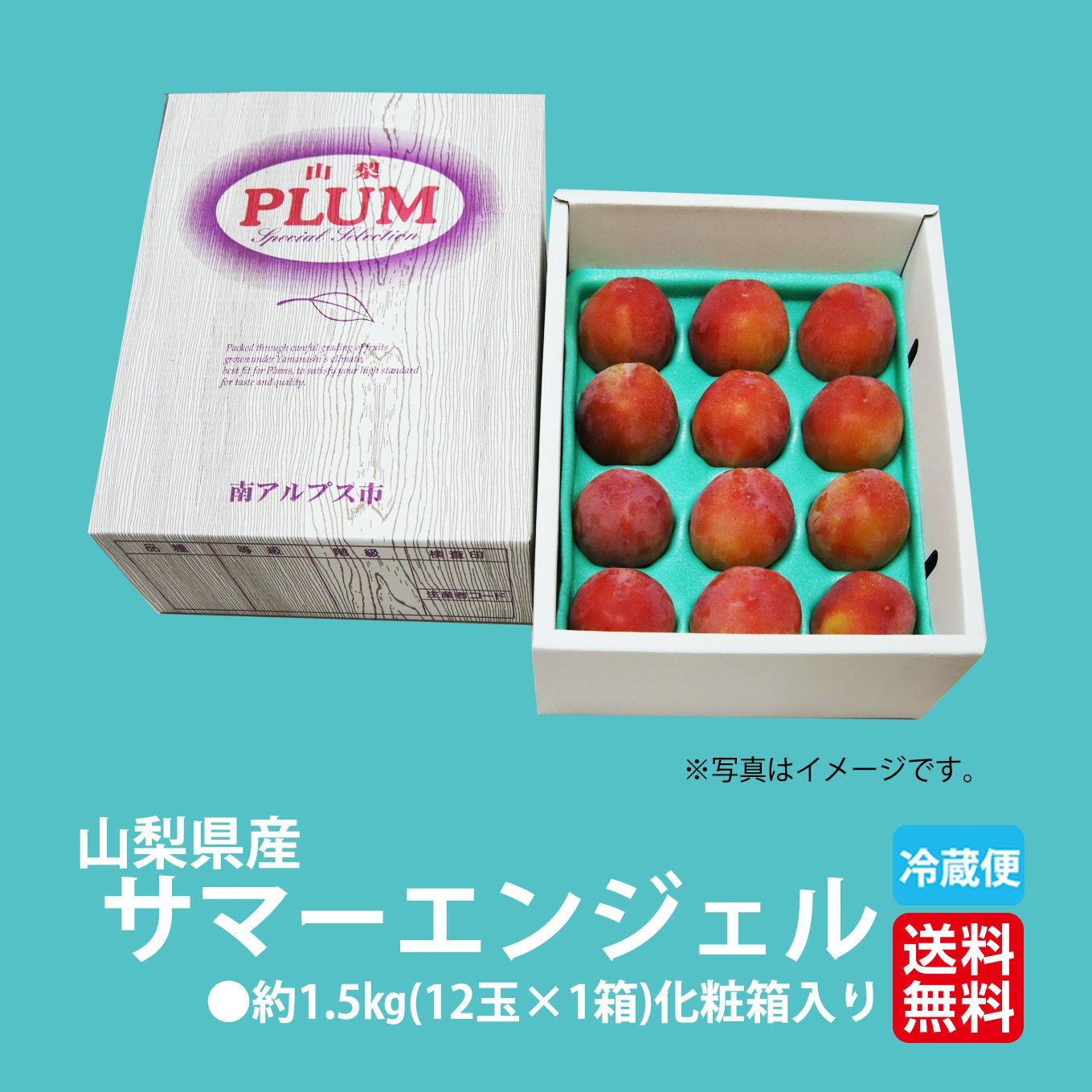すももさま　専用 高糖度すもも サマーエンジェル 約1.5kg（12玉入）【送料無料