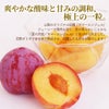 高糖度すもも　サマーエンジェル　約1.5ｋｇ（12玉入）×２【送料無料】