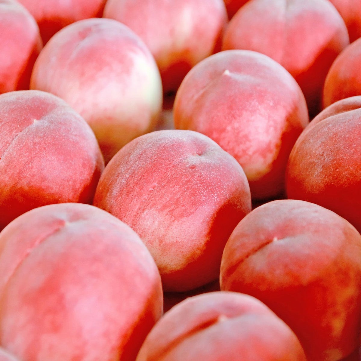 山梨県産　完熟桃　約3kg（9～12玉入／化粧箱入）【送料無料】