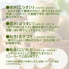 完熟くまもと梨 約2.3kg（6～9玉入り）【送料無料】
