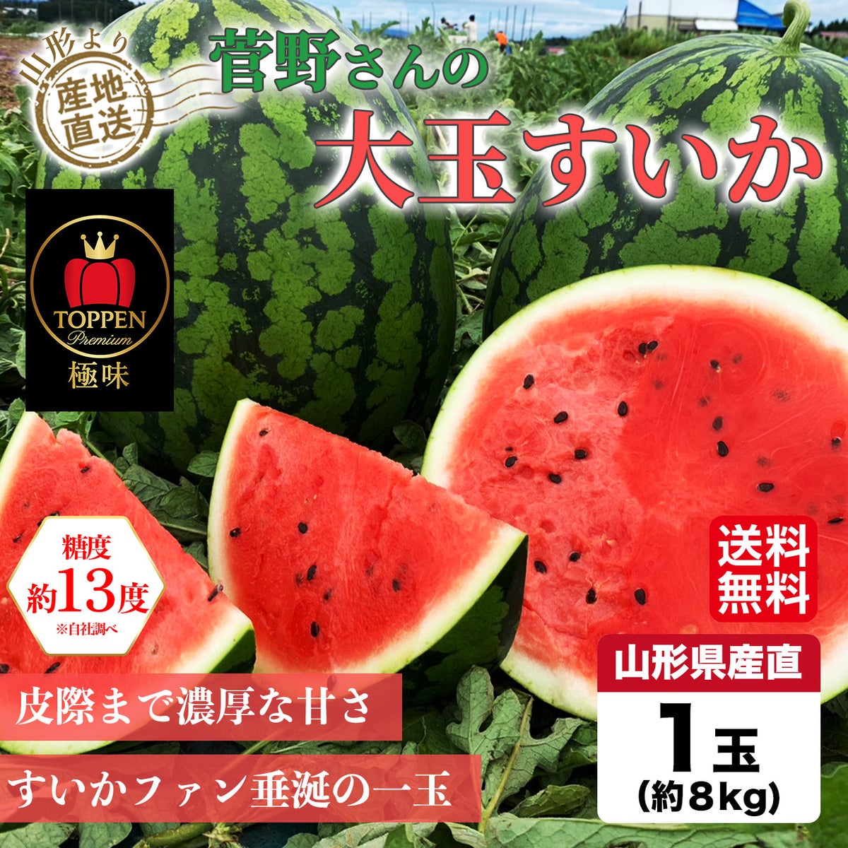 《極味シリーズ》菅野さんの大玉尾花沢すいか（１玉：約８㎏）【送料無料】