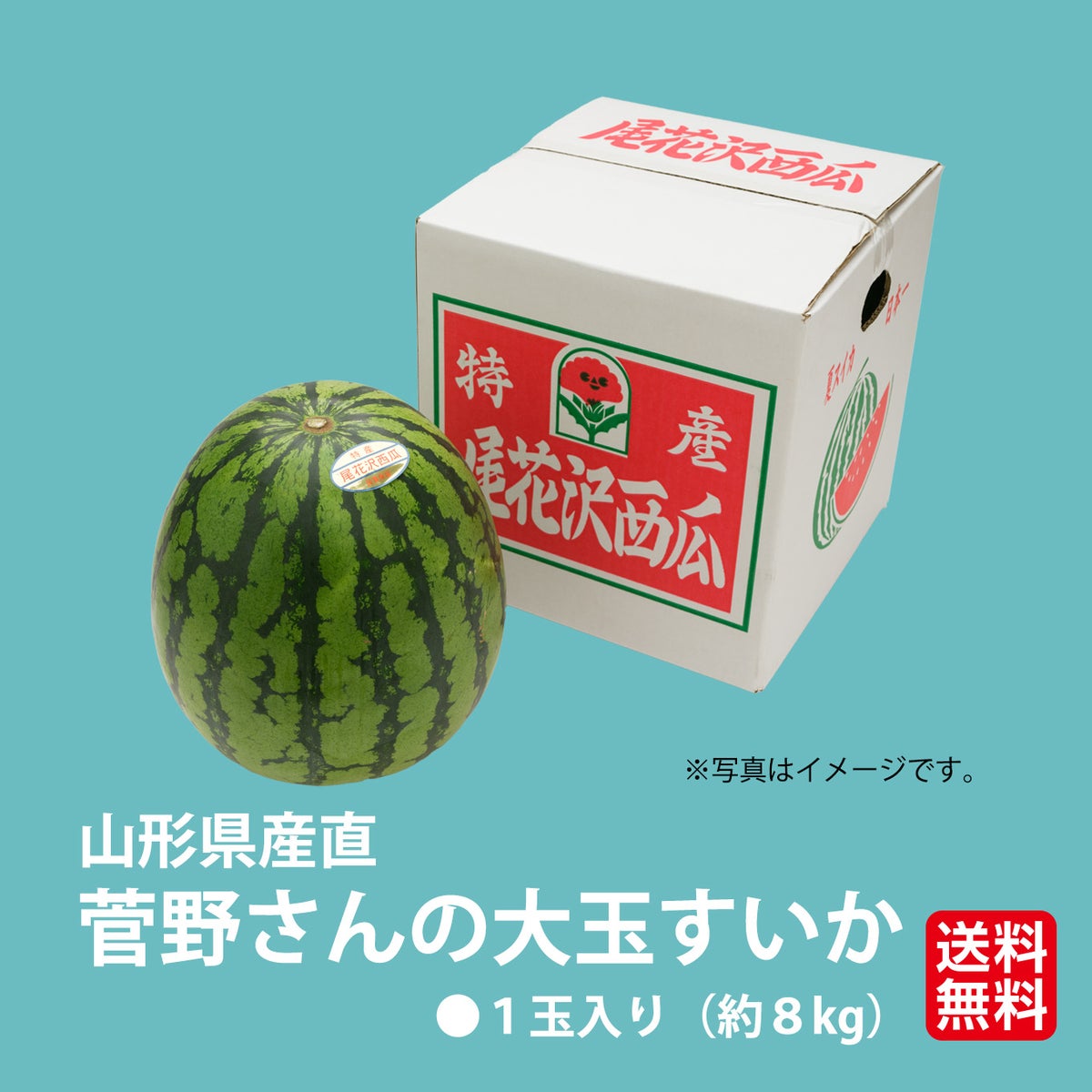 《極味シリーズ》菅野さんの大玉尾花沢すいか（１玉：約８㎏）【送料無料】