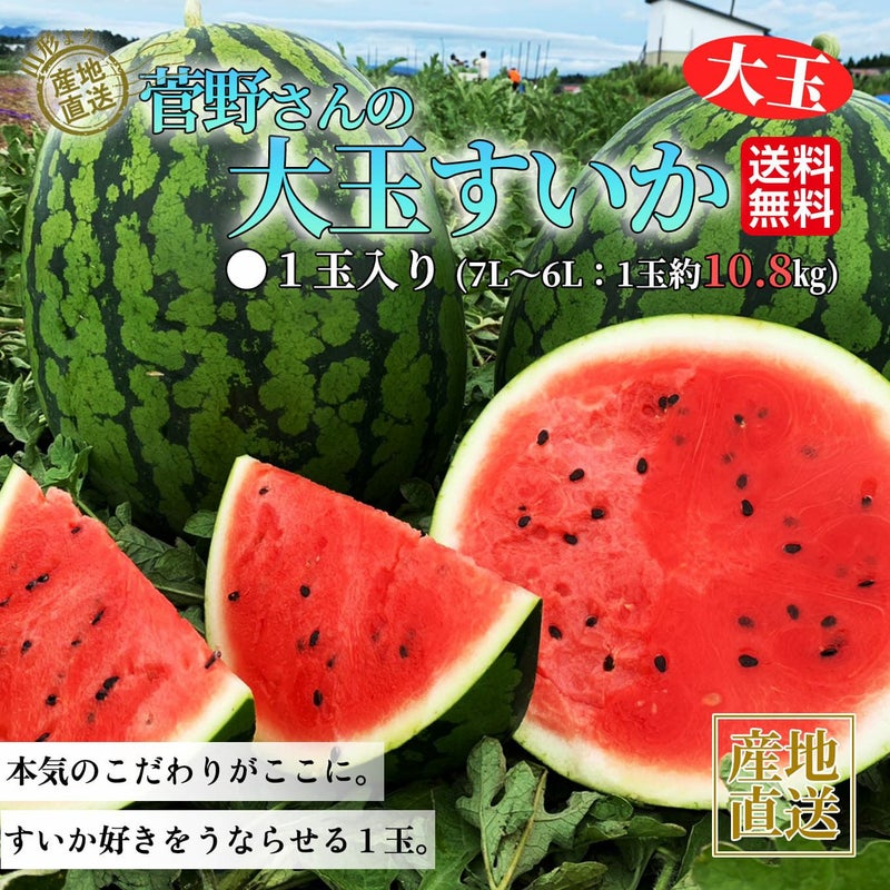 菅野さんの大玉尾花沢すいか（1玉：約10.8㎏以上／7L～6L）【送料無料】
