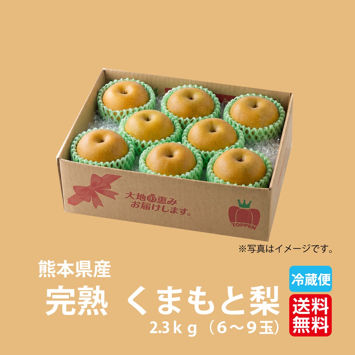  ≪初回限定お試し価格・送料無料≫完熟くまもと梨 約2.5kg（6～10玉入り）