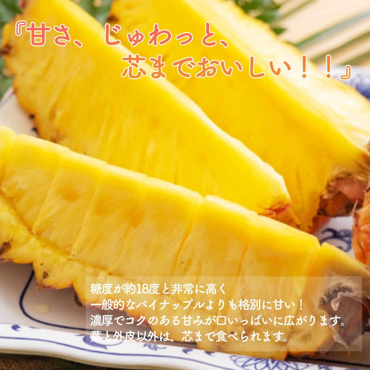 完熟沖縄パイナップル　ご家庭用 完熟ゴールドバレル　2玉（約3.6ｋｇ）【送料無料】
