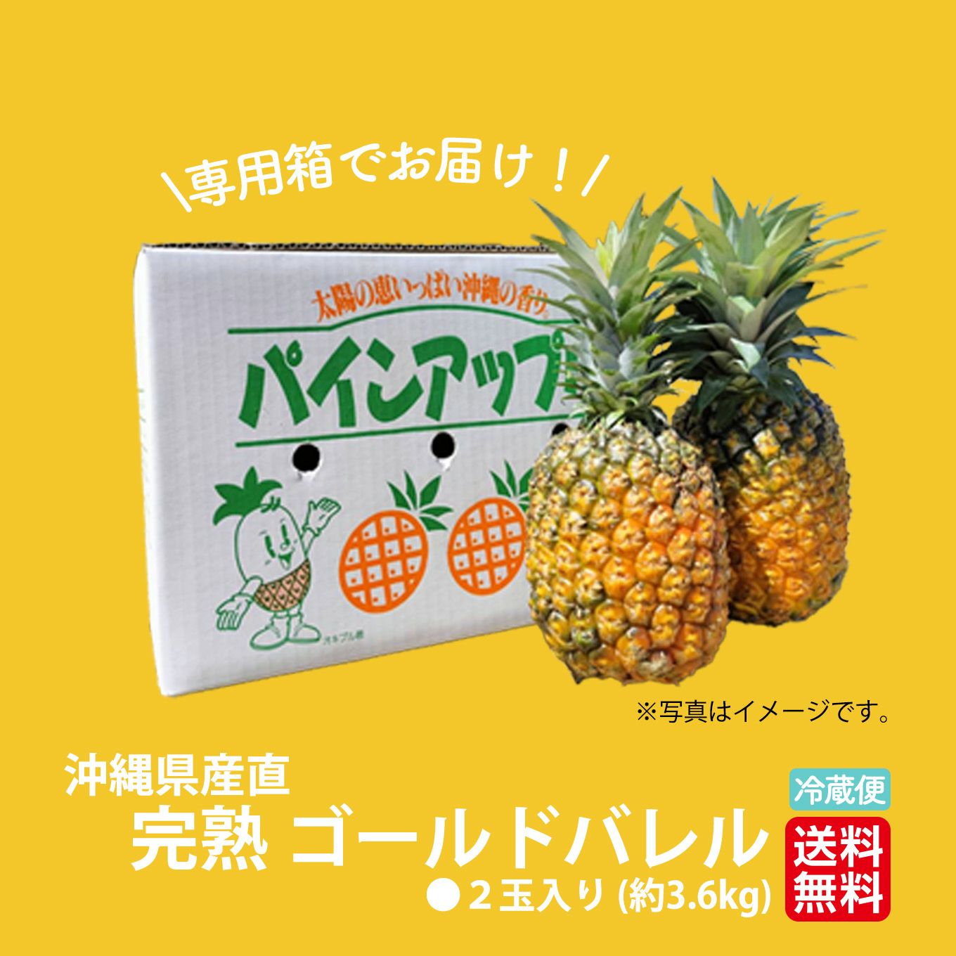 完熟沖縄パイナップル ご家庭用 完熟ゴールドバレル 2玉（約3.6kg