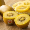 ニュージーランド産　特選サンゴールドキウイ 「煌果-KOKA-」約2kg(大玉14玉)化粧箱入り