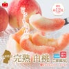  山形県産　完熟 白桃　約2kg（6～10玉入り）ご家庭用：簡易箱 【送料無料】