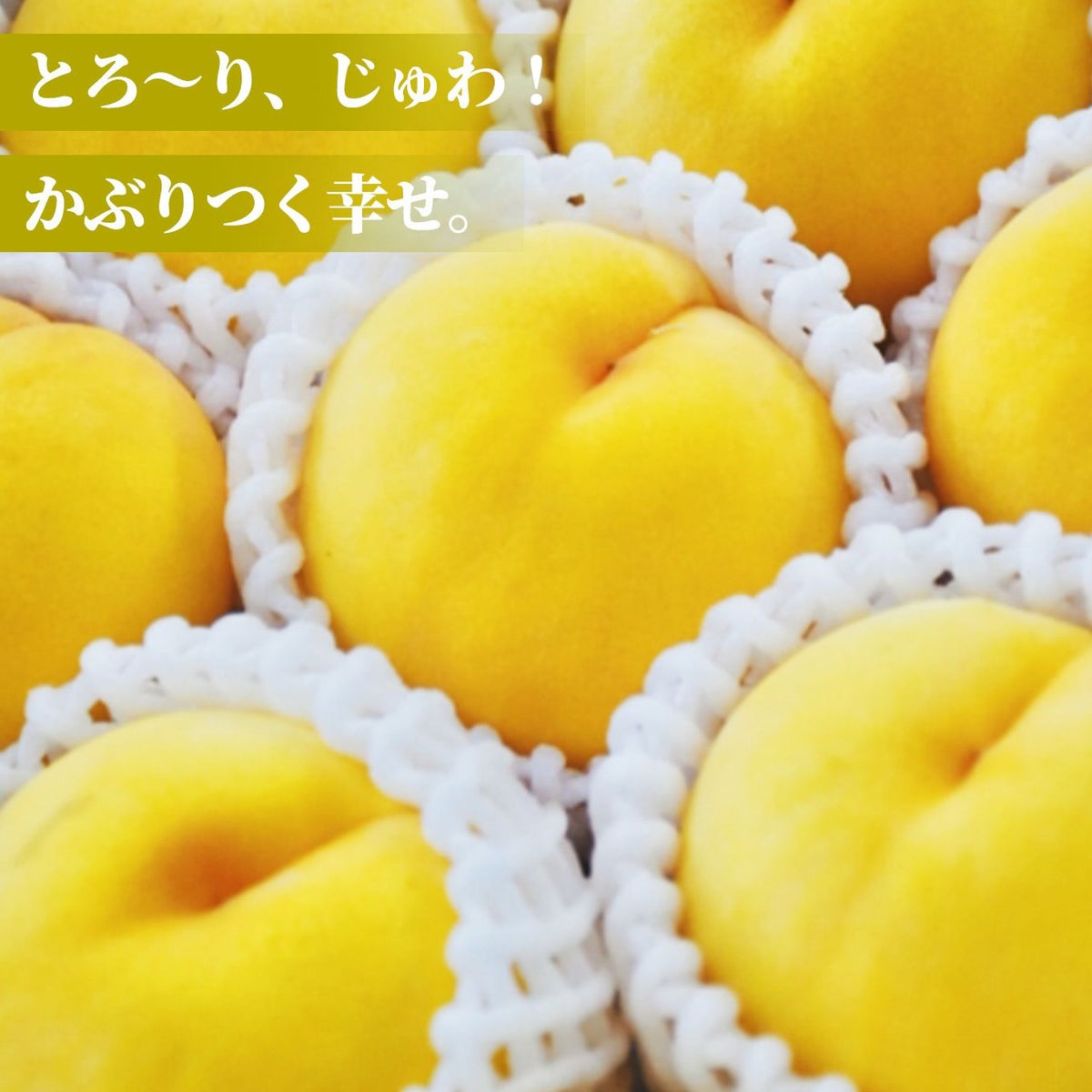  山形県産　完熟 黄桃　約2kg（7～10玉入り）ご家庭用：簡易箱 【送料無料】