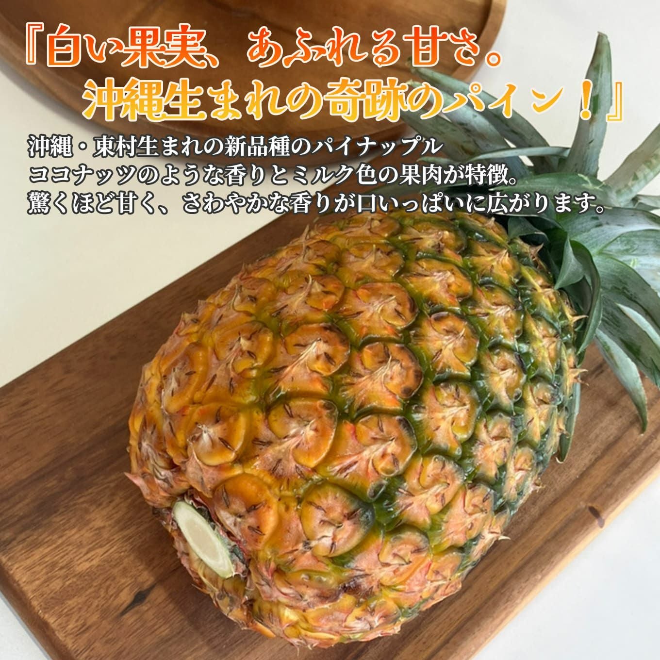 沖縄パイナップル ホワイトココ 1玉（約1.3㎏）【送料無料】 - とっ