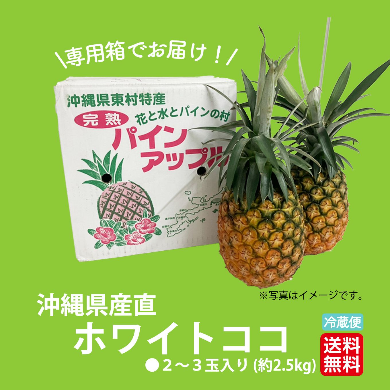 沖縄パイナップル ホワイトココ 2～3玉（約2.5㎏）【送料無料】 - とっ