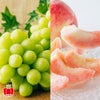 山形県産　シャインマスカット×完熟 白桃 約2kg【送料無料】
