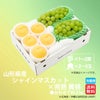 山形県産　シャインマスカット×完熟 黄桃 約2kg【送料無料】