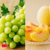 山形県産　シャインマスカット×完熟 黄桃 約2kg【送料無料】