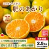 こだわりみかん「肥のあかり」 約2.5kg（20～45玉入 Ｌ～2Sサイズ）【送料無料】